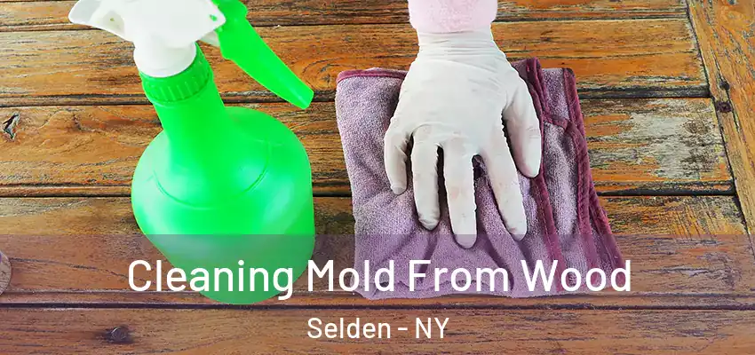  Cleaning Mold From Wood Selden - NY