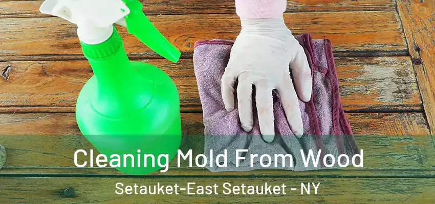 Cleaning Mold From Wood Setauket-East Setauket - NY