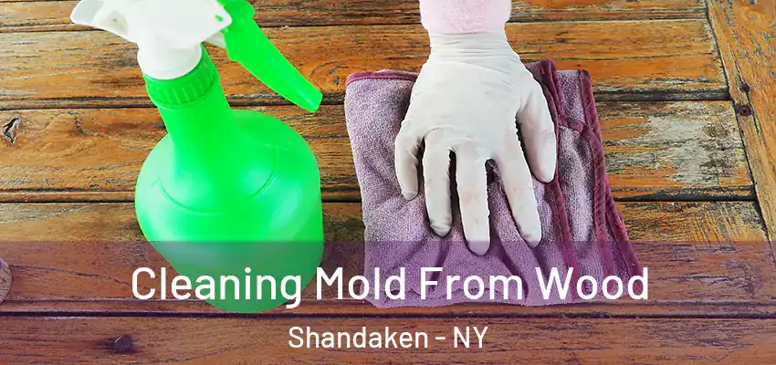  Cleaning Mold From Wood Shandaken - NY