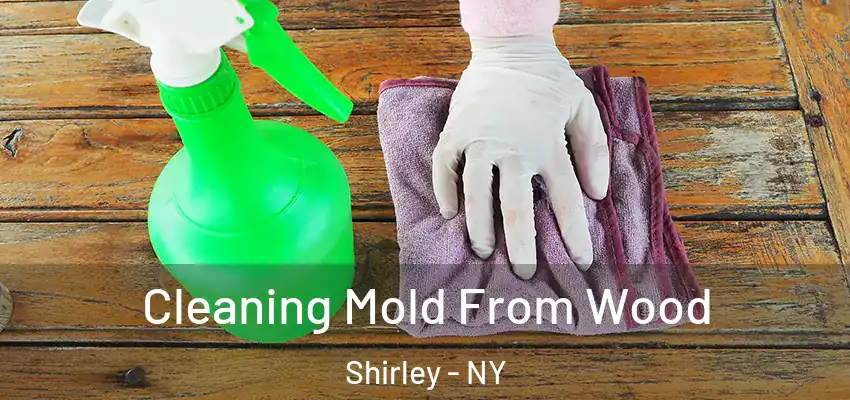  Cleaning Mold From Wood Shirley - NY