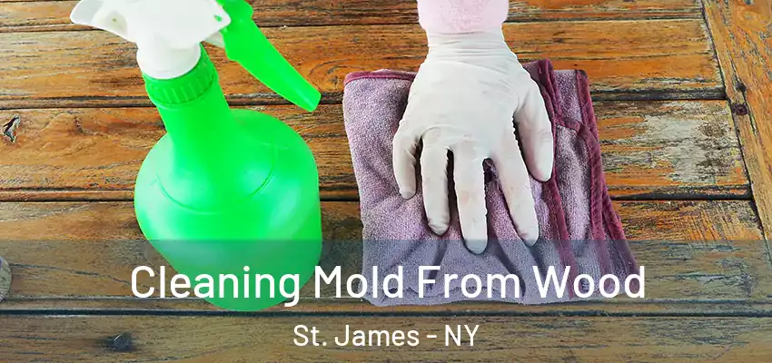  Cleaning Mold From Wood St. James - NY