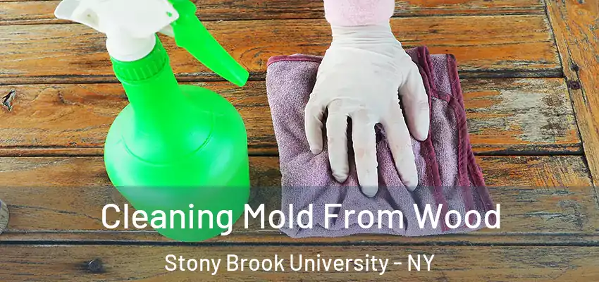 Cleaning Mold From Wood Stony Brook University - NY