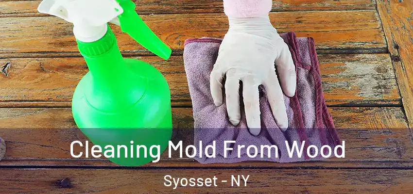  Cleaning Mold From Wood Syosset - NY