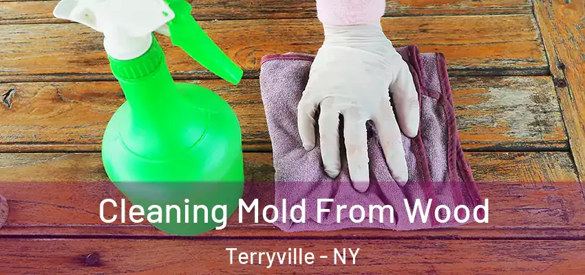  Cleaning Mold From Wood Terryville - NY