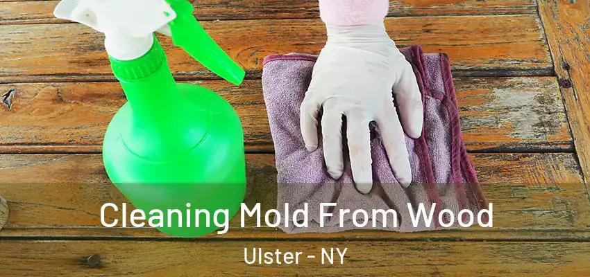  Cleaning Mold From Wood Ulster - NY