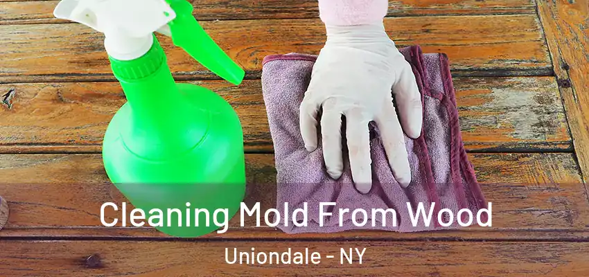 Cleaning Mold From Wood Uniondale - NY