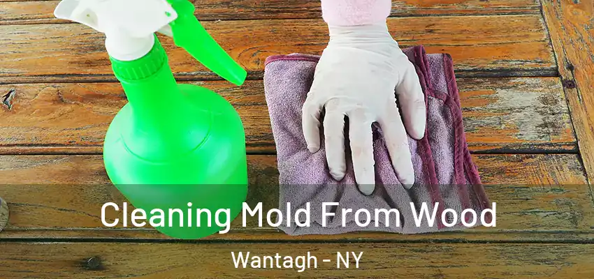  Cleaning Mold From Wood Wantagh - NY