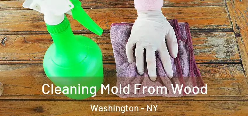  Cleaning Mold From Wood Washington - NY