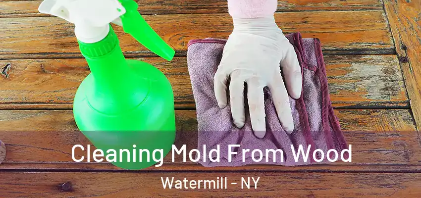  Cleaning Mold From Wood Watermill - NY