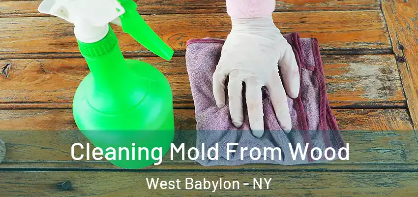  Cleaning Mold From Wood West Babylon - NY