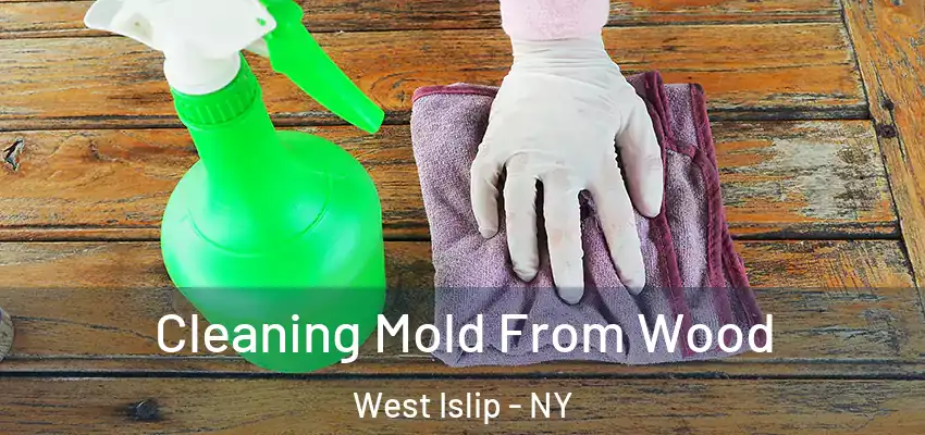  Cleaning Mold From Wood West Islip - NY
