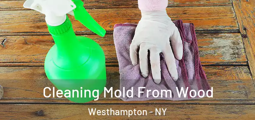  Cleaning Mold From Wood Westhampton - NY