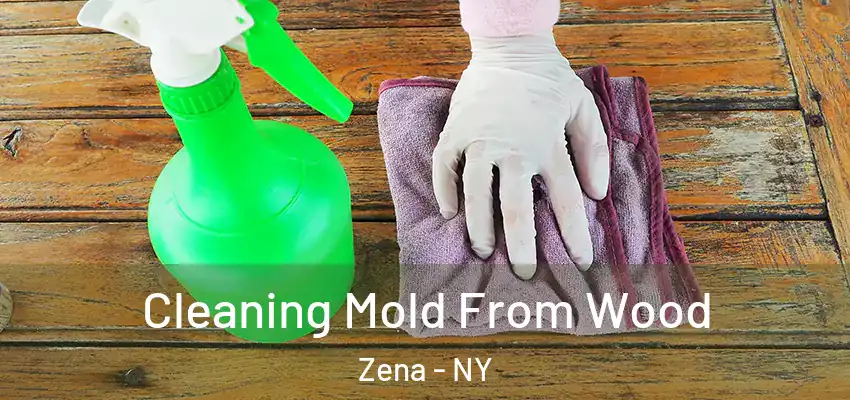  Cleaning Mold From Wood Zena - NY
