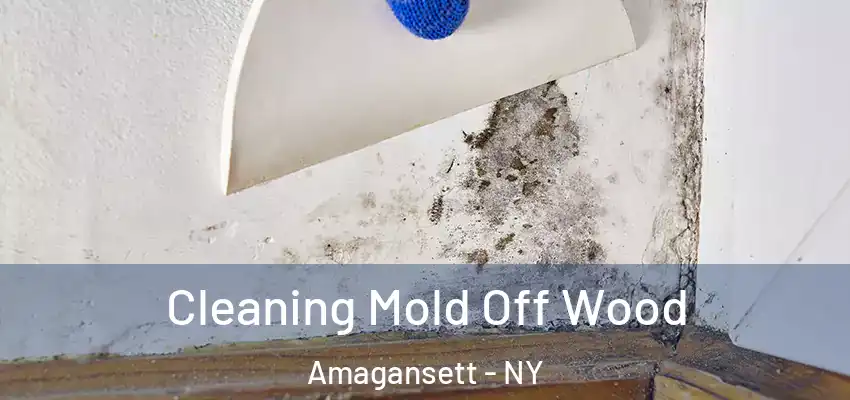  Cleaning Mold Off Wood Amagansett - NY
