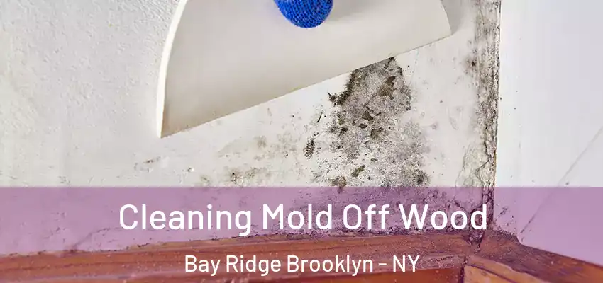 Cleaning Mold Off Wood Bay Ridge Brooklyn - NY