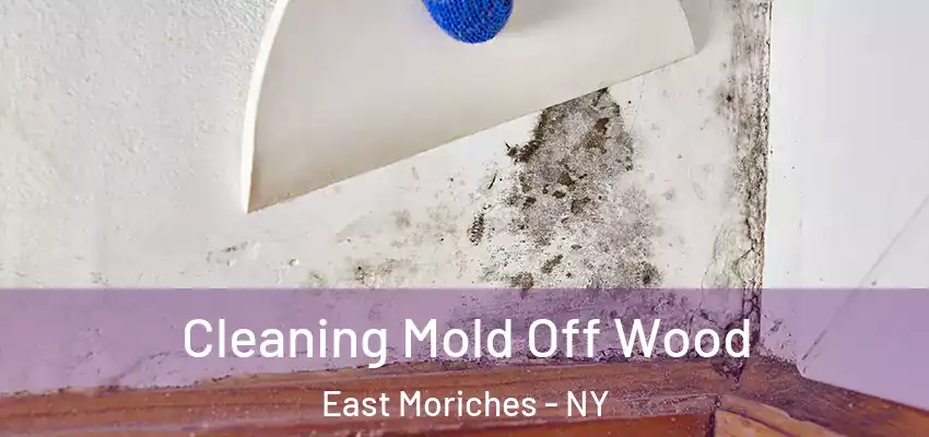 Cleaning Mold Off Wood East Moriches - NY