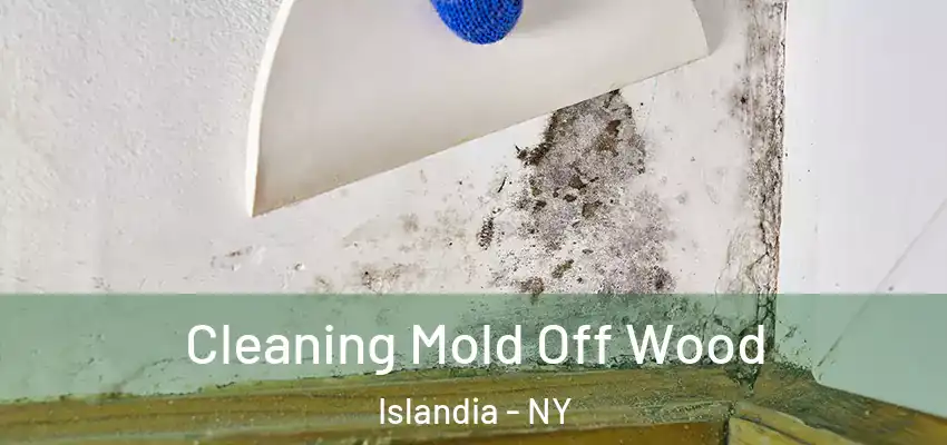  Cleaning Mold Off Wood Islandia - NY