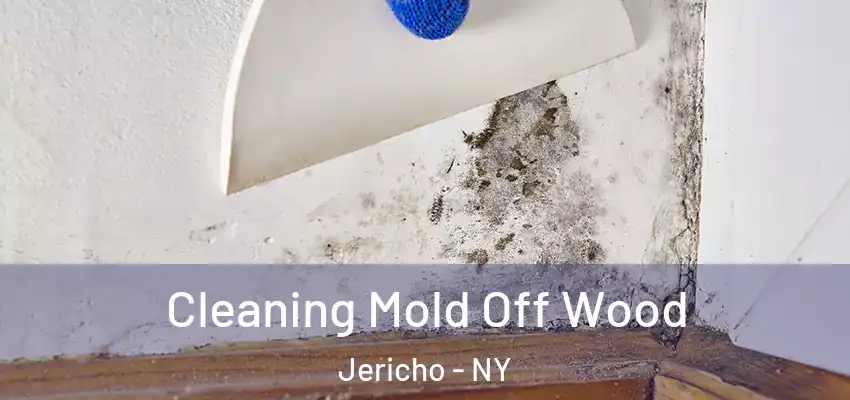  Cleaning Mold Off Wood Jericho - NY