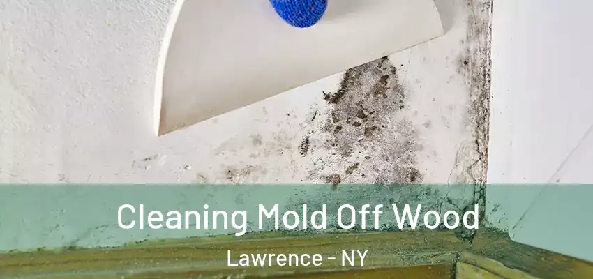  Cleaning Mold Off Wood Lawrence - NY
