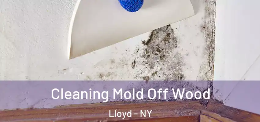 Cleaning Mold Off Wood Lloyd - NY