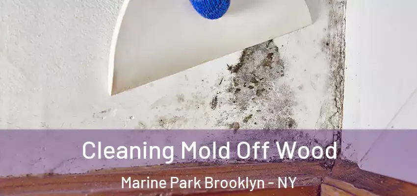  Cleaning Mold Off Wood Marine Park Brooklyn - NY