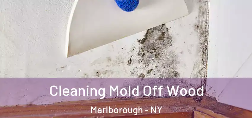 Cleaning Mold Off Wood Marlborough - NY