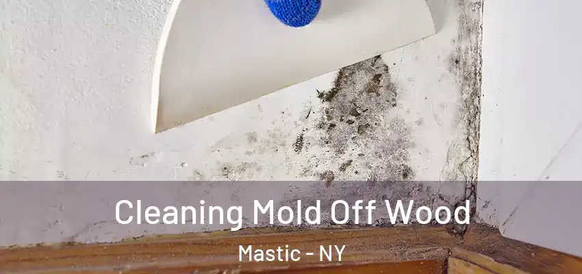  Cleaning Mold Off Wood Mastic - NY