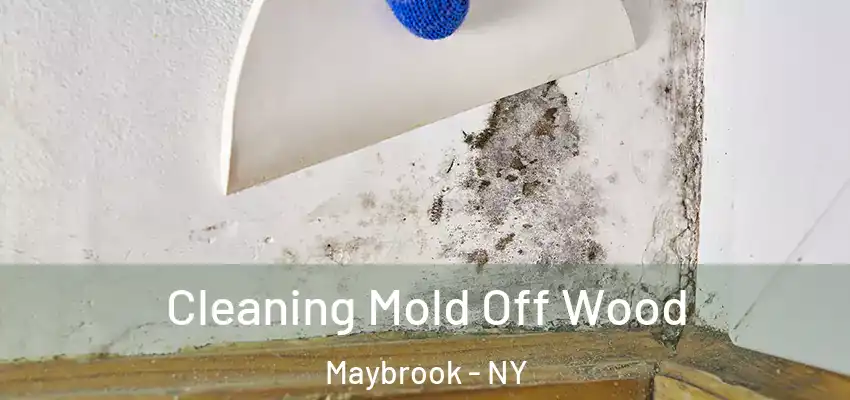 Cleaning Mold Off Wood Maybrook - NY