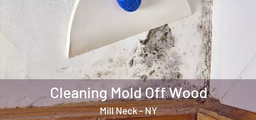  Cleaning Mold Off Wood Mill Neck - NY