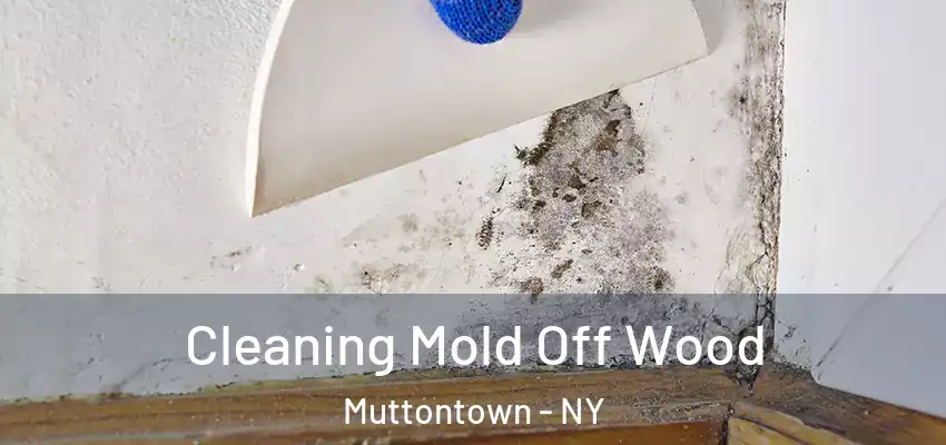  Cleaning Mold Off Wood Muttontown - NY