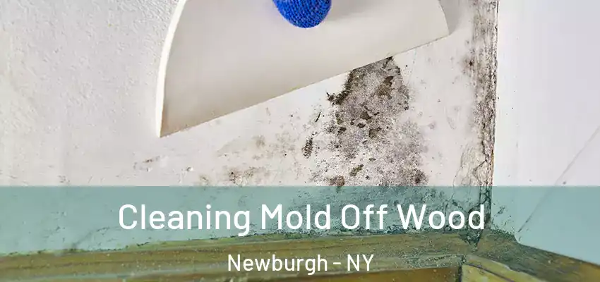  Cleaning Mold Off Wood Newburgh - NY