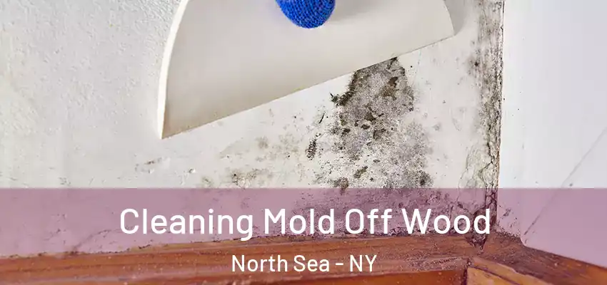  Cleaning Mold Off Wood North Sea - NY