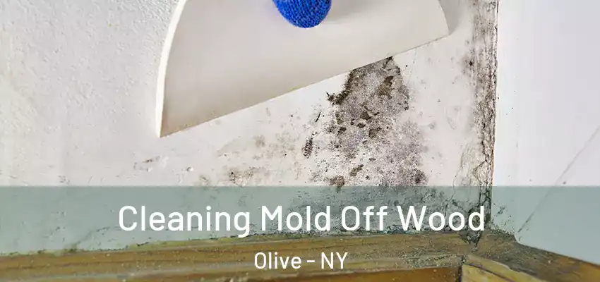 Cleaning Mold Off Wood Olive - NY
