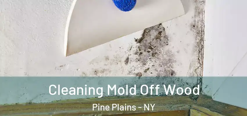  Cleaning Mold Off Wood Pine Plains - NY