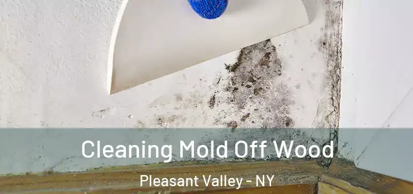 Cleaning Mold Off Wood Pleasant Valley - NY