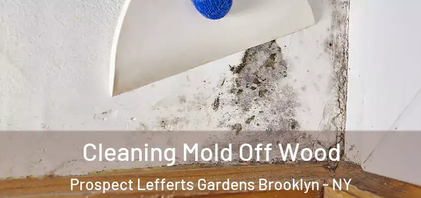  Cleaning Mold Off Wood Prospect Lefferts Gardens Brooklyn - NY