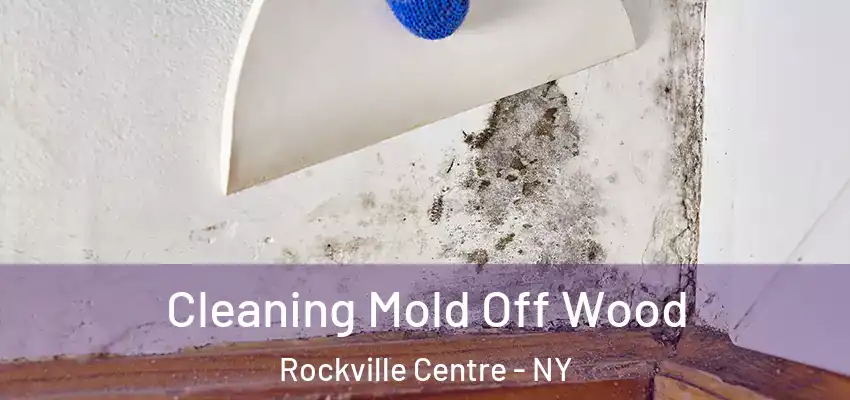  Cleaning Mold Off Wood Rockville Centre - NY