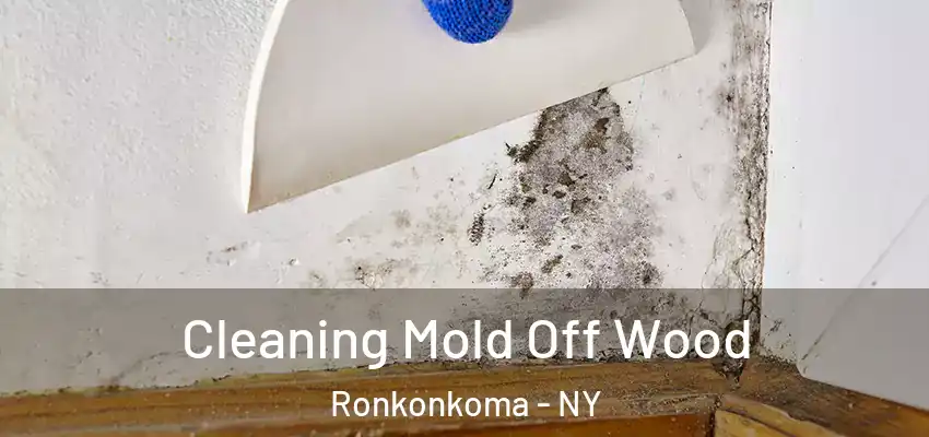  Cleaning Mold Off Wood Ronkonkoma - NY
