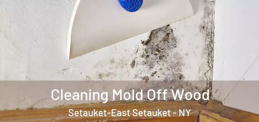 Cleaning Mold Off Wood Setauket-East Setauket - NY