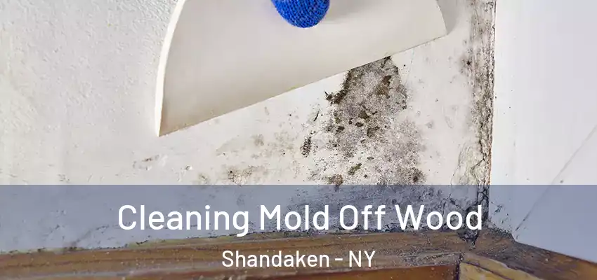  Cleaning Mold Off Wood Shandaken - NY