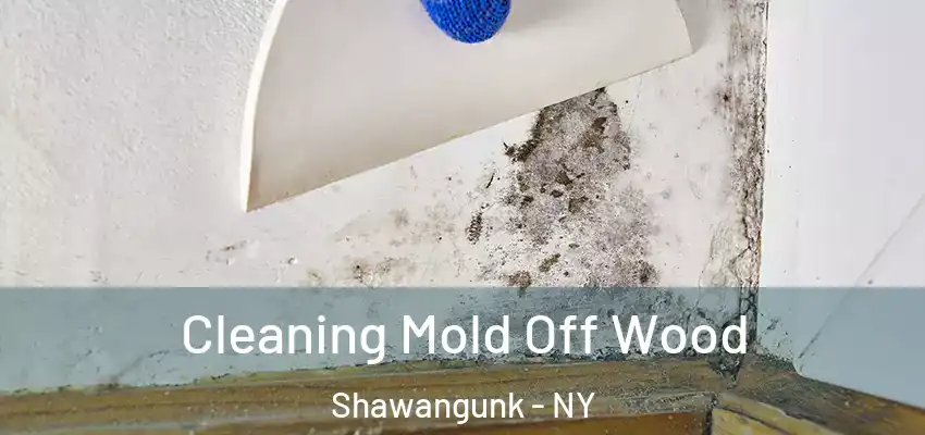  Cleaning Mold Off Wood Shawangunk - NY