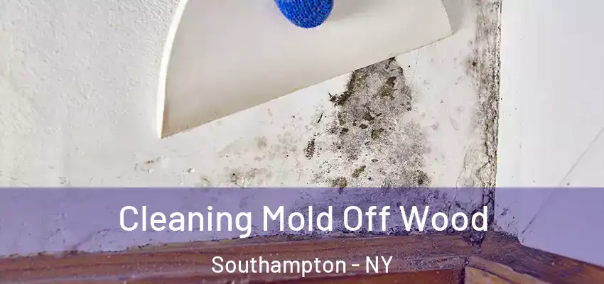  Cleaning Mold Off Wood Southampton - NY
