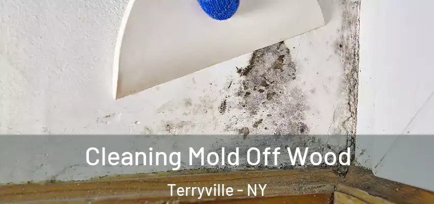  Cleaning Mold Off Wood Terryville - NY