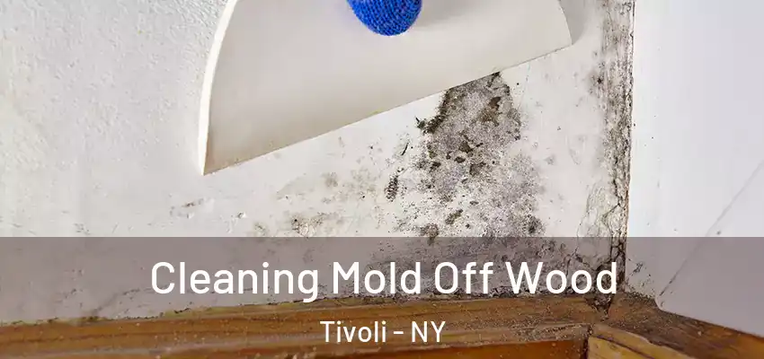 Cleaning Mold Off Wood Tivoli - NY