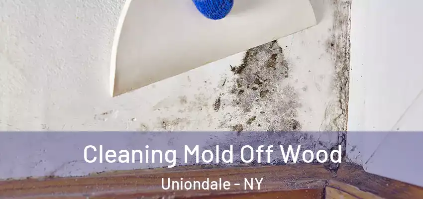  Cleaning Mold Off Wood Uniondale - NY