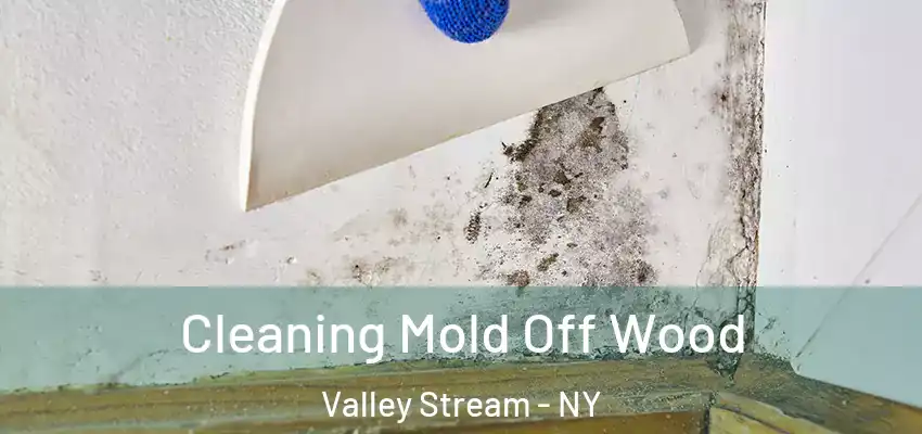  Cleaning Mold Off Wood Valley Stream - NY