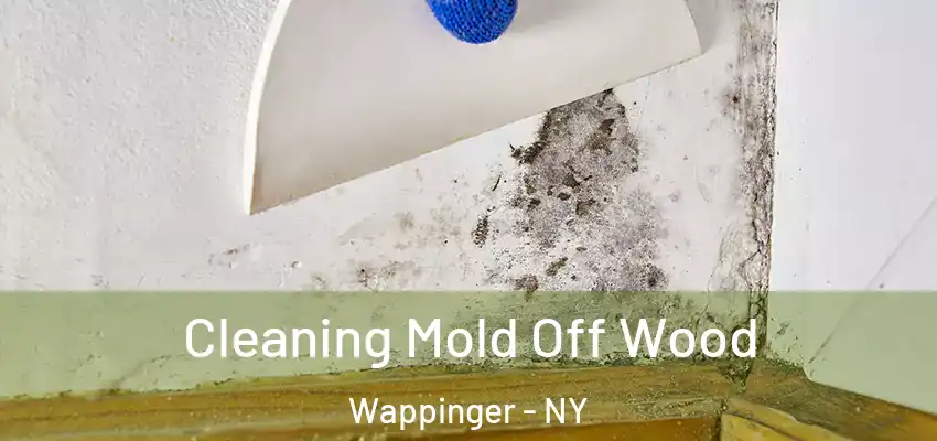  Cleaning Mold Off Wood Wappinger - NY