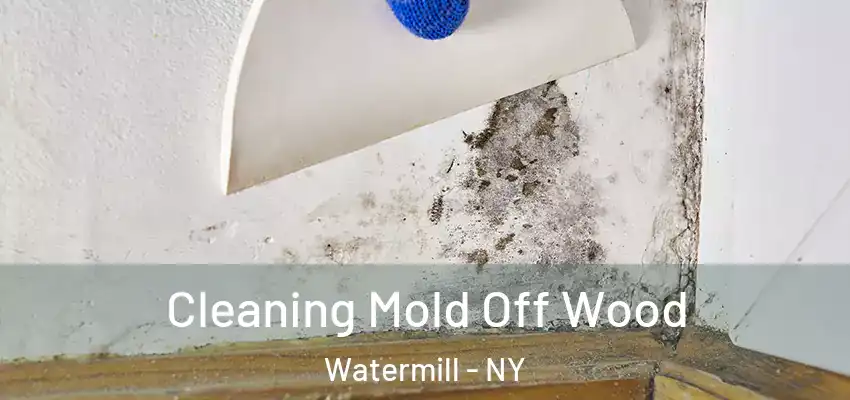 Cleaning Mold Off Wood Watermill - NY
