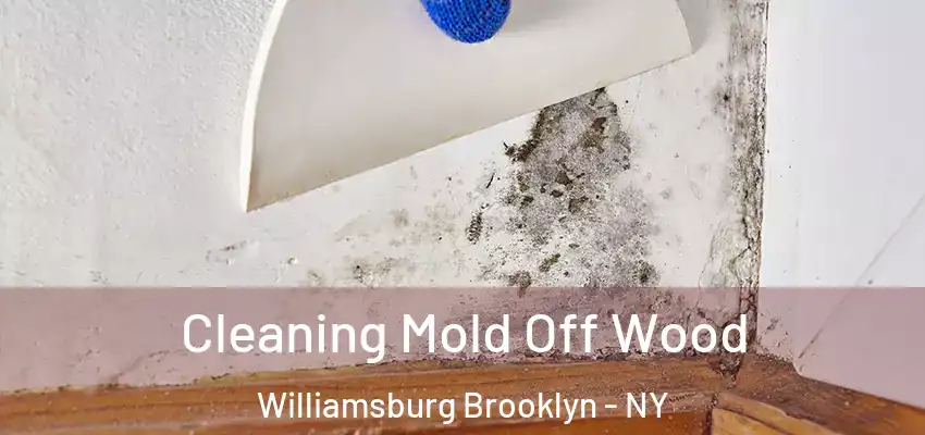  Cleaning Mold Off Wood Williamsburg Brooklyn - NY