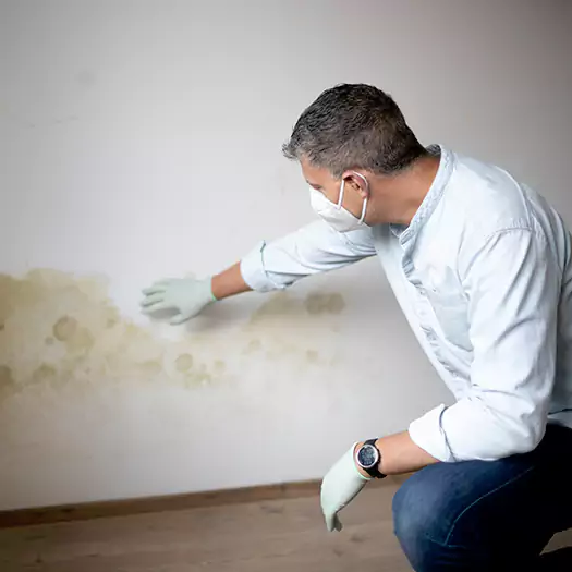 Trusted Mold Remediation and Removal Experts in Manorville, NY